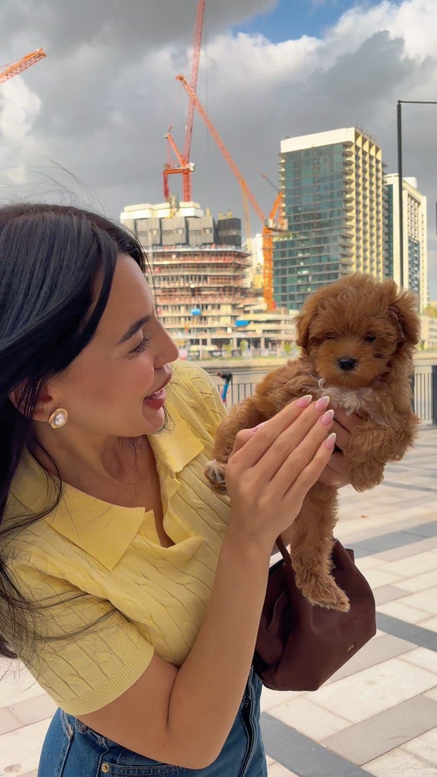 Maltipoo puppies Dubai | Maltipoo puppies for sale Dubai | Maltipoo breeders in Dubai | Buy Maltipoo in Dubai | Maltipoo Dubai price | Maltipoo puppy Dubai pet shop | Maltipoo puppies UAE | Maltipoo for sale UAE | Maltipoo Dubai for adoption | Best Maltipoo shop in Dubai | Dubai Maltipoo puppies available | Maltipoo puppies Business Bay Dubai | Premium Maltipoo puppies Dubai | Healthy Maltipoo puppies Dubai | Dubai Maltipoo puppy store | Maltipoo puppies Tom and Jerry Pet Shop Dubai | Maltipoo puppies Tom and Jerry Pet Shop | Buy Maltipoo from Tom and Jerry Pet Shop Dubai | Maltipoo puppies for sale near me Dubai | Maltipoo puppy near me UAE | Maltipoo near me Dubai | Purebred Maltipoo puppies Dubai | Champion bloodline Maltipoo puppies Dubai | Vaccinated Maltipoo puppies Dubai | Affordable Maltipoo puppies Dubai | White Maltipoo puppies Dubai | Cream Maltipoo puppies Dubai | Apricot Maltipoo puppies Dubai | Teacup Maltipoo puppies Dubai | Mini Maltipoo puppies Dubai - Image 3