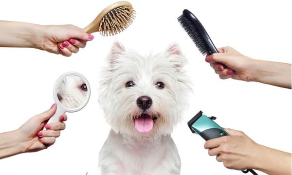 Grooming