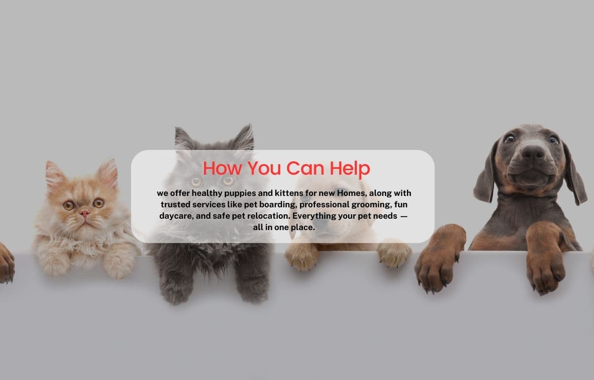 Featured carousel image