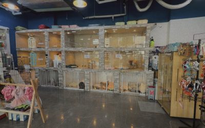 pet foods dubai