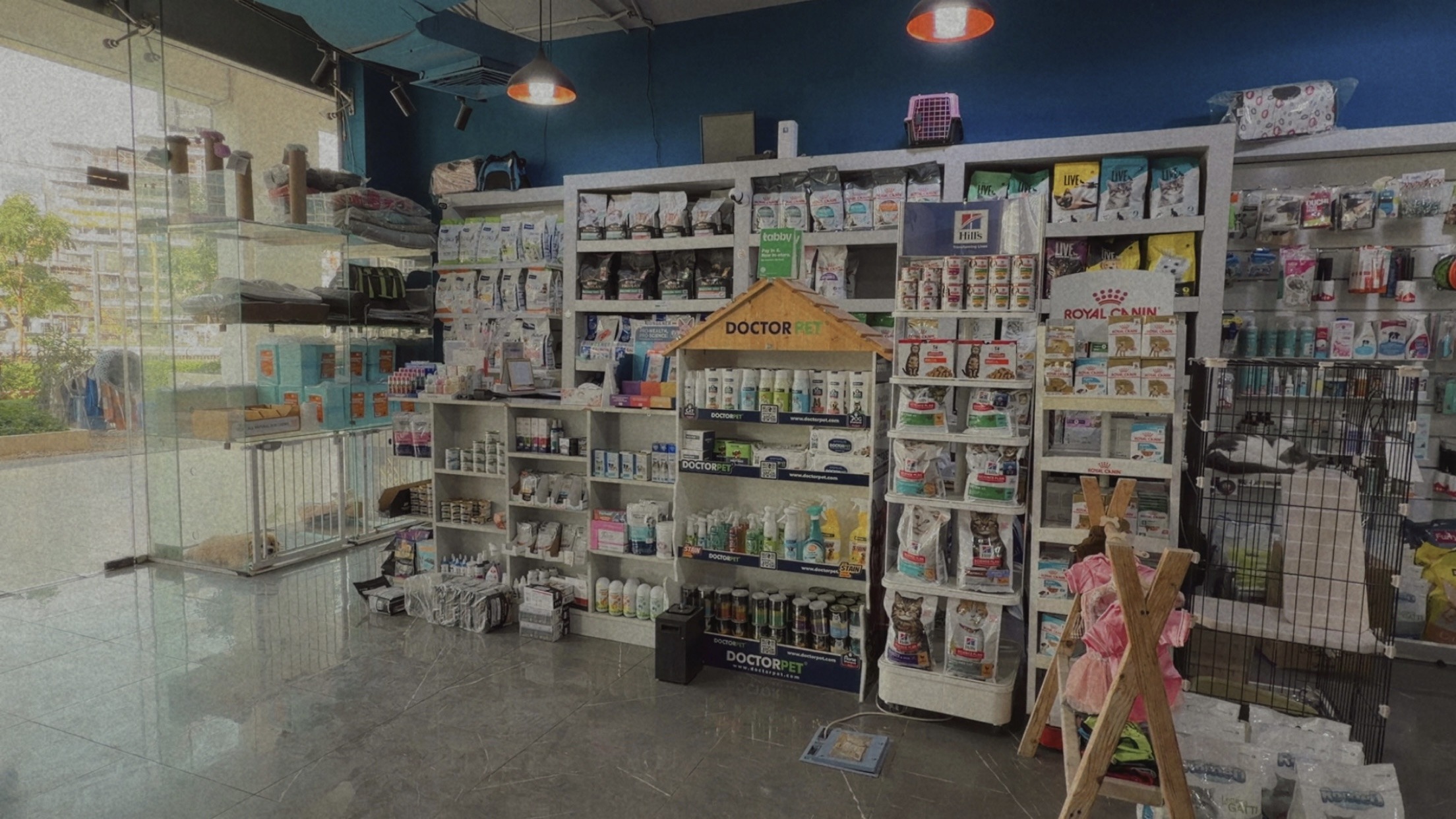 tom and jerry pet shop dubai