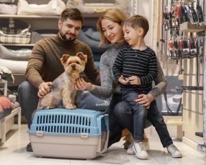 Pet boarding